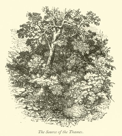 La Source de la Tamise - English School
