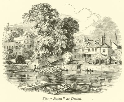 Le Cygne à Ditton - English School