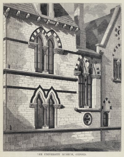 Le musée universitaire, Oxford (gravure) - English School