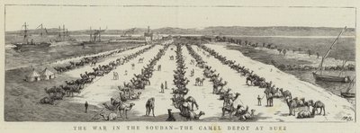 La guerre au Soudan, le dépôt de chameaux à Suez - English School