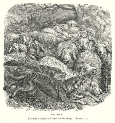 Le loup (gravure) - English School