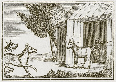 Les loups et l