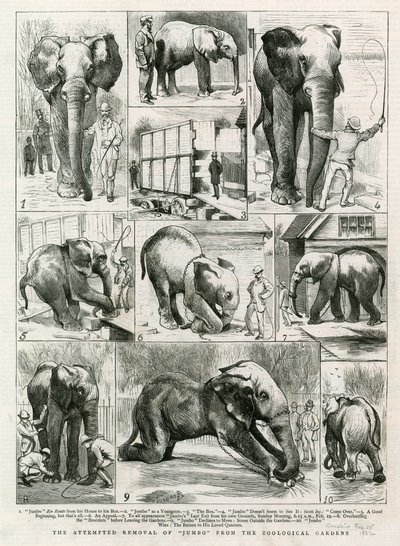 La tentative de déplacement de Jumbo des jardins zoologiques - English School