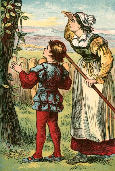 Le haricot pousse hors de vue en une nuit - English School