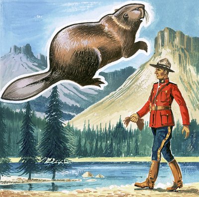 Le castor, emblème du Canada - English School
