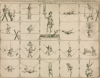La performance curieuse et inhabituelle d