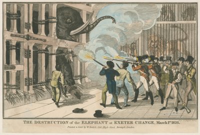 La destruction de l