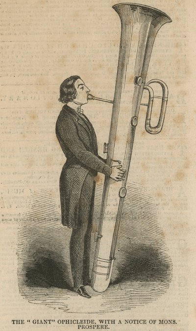 Le géant Ophicléide, avec un avis de M. Prospere - English School