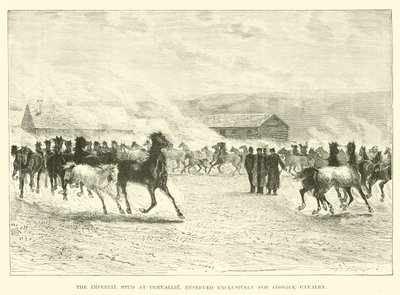 Le haras impérial à Prevallie, réservé exclusivement à la cavalerie cosaque - English School