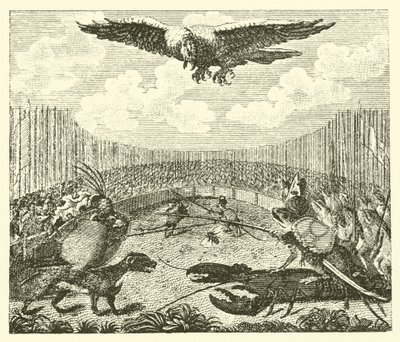 Le cerf-volant, la grenouille et la souris - English School