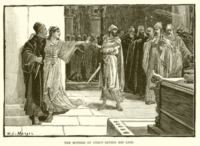 La mère de Cyrus sauvant sa vie - English School