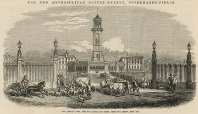 Le nouveau Marché aux Bestiaux Métropolitain, Copenhagen Fields - English School