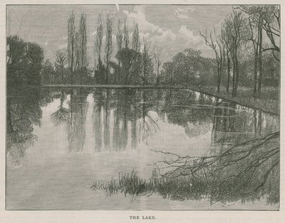 Le nouveau parc public à Highgate : le lac - English School