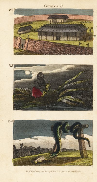 Le palais du roi du Dahomey à Abomey, un homme africain cachant un fétiche et des habitants de Whydah adorant un énorme serpent - English School