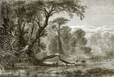 Le fleuve Phasis - English School