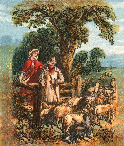 Le berger comptant ses moutons - English School