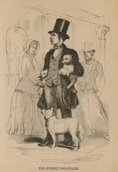 Le vendeur de chiens de rue - English School