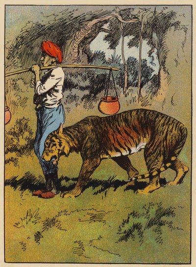 Le tigre se frotte contre la jambe de l