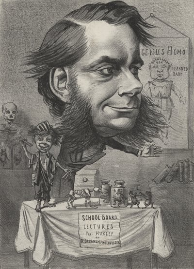 Thomas Henry Huxley, biologiste anglais - English School