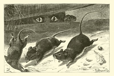 Trois petites souris - English School