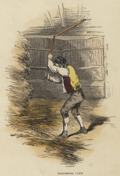Battage du maïs (gravure en couleur) - English School