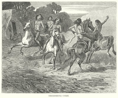 Battage du maïs (gravure) - English School