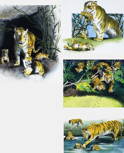 Tigre et petits - English School