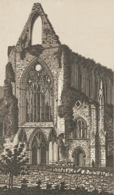 Abbaye de Tintern, façade ouest - English School