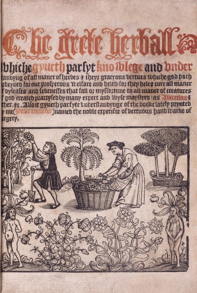Page de titre illustrant une scène de jardin avec des personnages, 1529 - English School