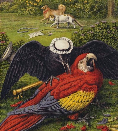 Tittums et Fido - English School