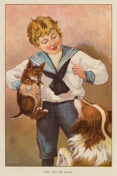 Toby et le sucre - English School