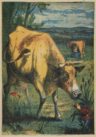 Tom Pouce et la Vache (lithographie en couleur) - English School