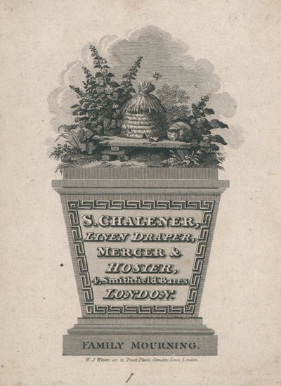 Carte de visite de S Chalener - English School