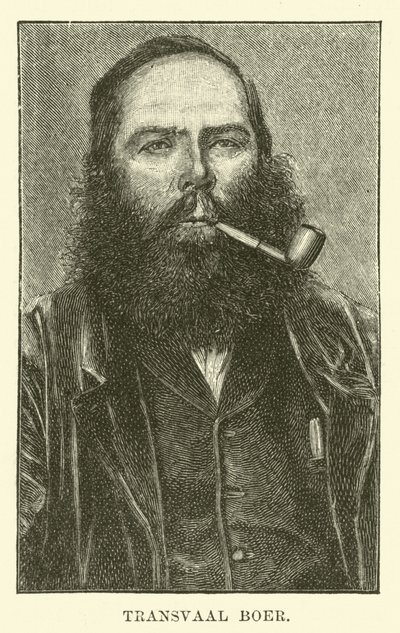 Boer du Transvaal - English School