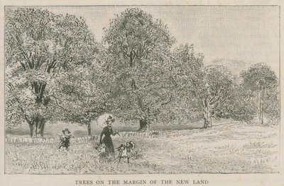 Arbres à la marge de la nouvelle terre - English School