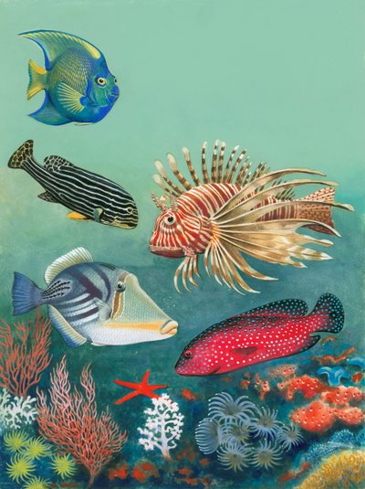 Poissons tropicaux - English School