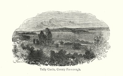 Château de Tully, Comté de Fermanagh - English School