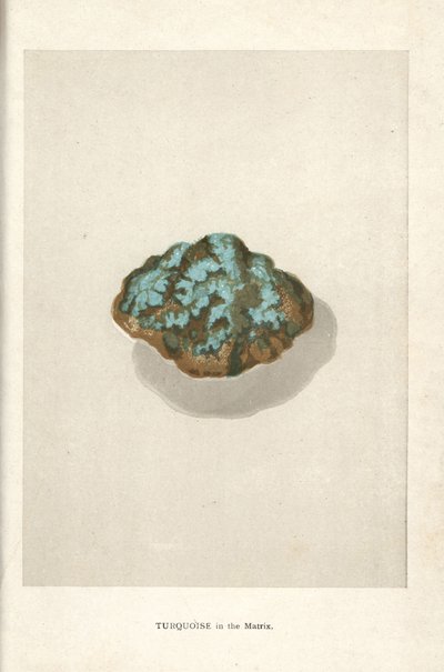 Turquoise dans la matrice, de "Precious Stones and Gems" d