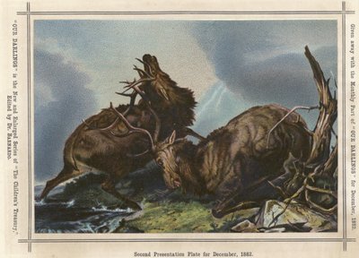 Deux cerfs se battant - English School