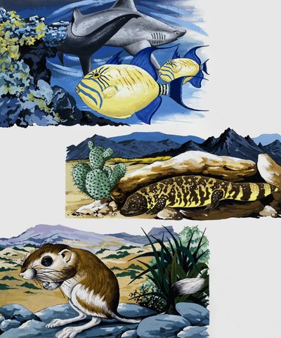 Créatures sous-marines et souris - English School