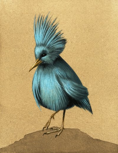 Oiseau incapable de voler non identifié - English School
