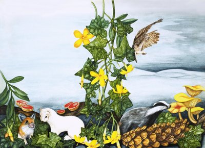 Plantes et animaux non identifiés, y compris hibou, blaireau et belette - English School