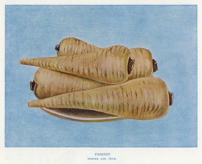 Guide du cultivateur de légumes : Panais, Tender and True - English School