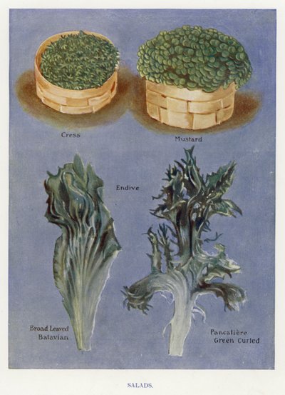 Guide du cultivateur de légumes : Salades - English School