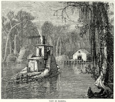 Vue en Floride (gravure) - English School