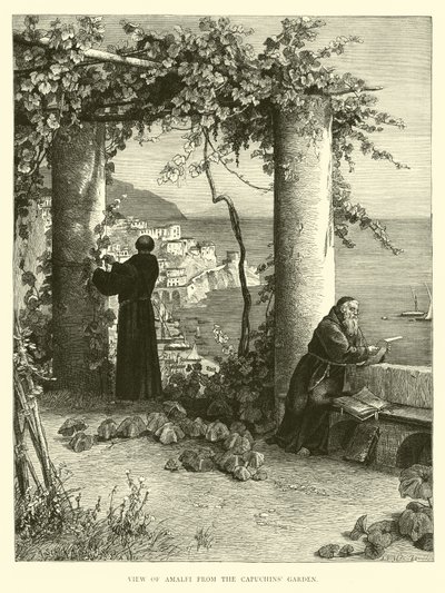 Vue d