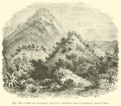 Vue de Palenque, Mexique, montrant les structures pyramidales - English School