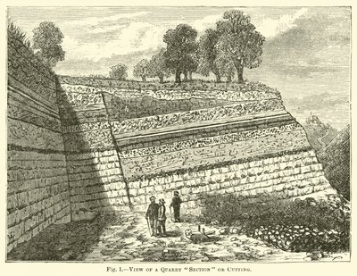 Vue d