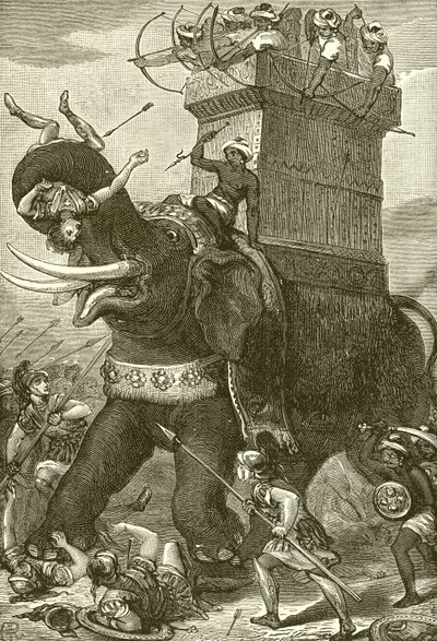 Éléphant de guerre dans l