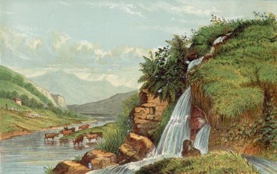 Cascade et bétail - English School